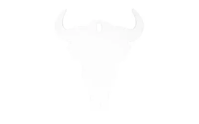 Birchwood Casey AR500 3/8" Silhouette Skull Target – Rifle & Pistol