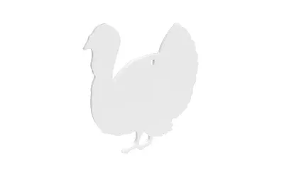 Birchwood Casey AR500 3/8" Steel Turkey Silhouette Target – Centerfire Pistol & Rifle