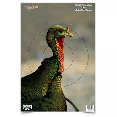 Birchwood Casey BC-35403 Pregame 12" X 18", 8 Targets - Turkey