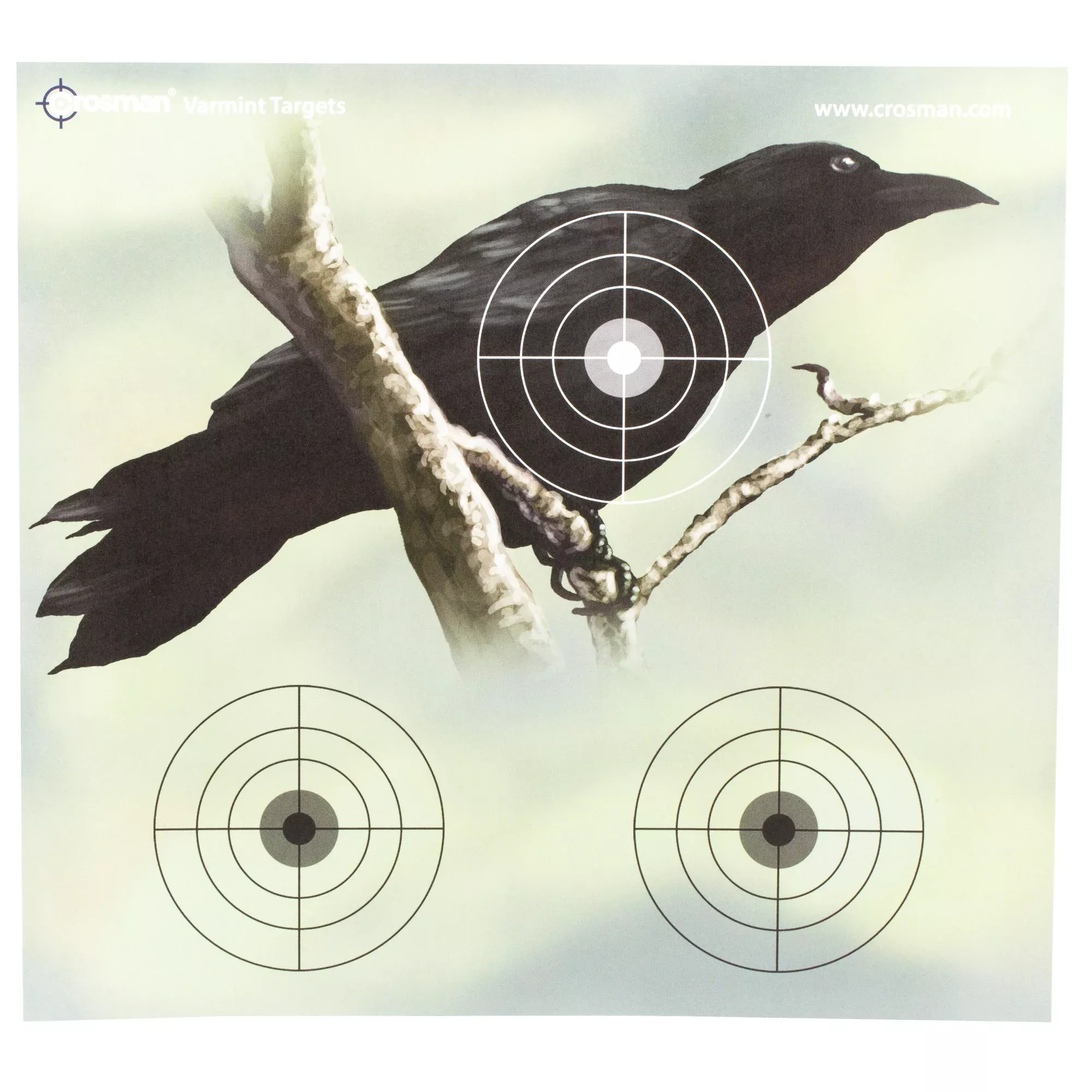 Crosman Varmint Targets 9.75" Paper Targets – Airgun & .22 Rimfire