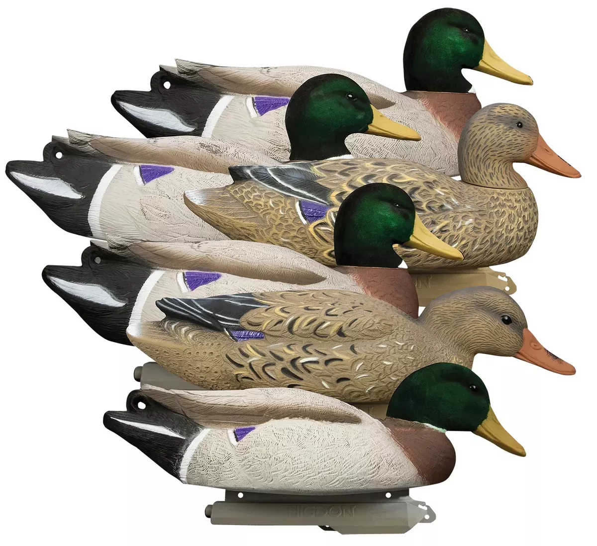 Higdon Outdoors 16034 BattleshipOversized Mallards Species Multi Color Foam Filled Features Flocked Heads 6 Pack