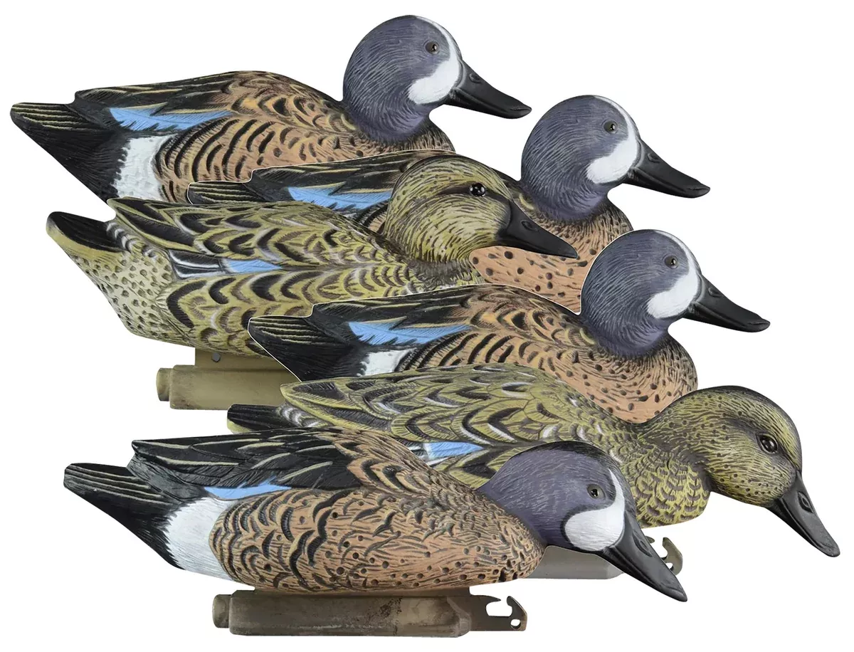Higdon Outdoors 19953 StandardBlue Wing Teal Species Multi Color Foam Filled 6 Pack
