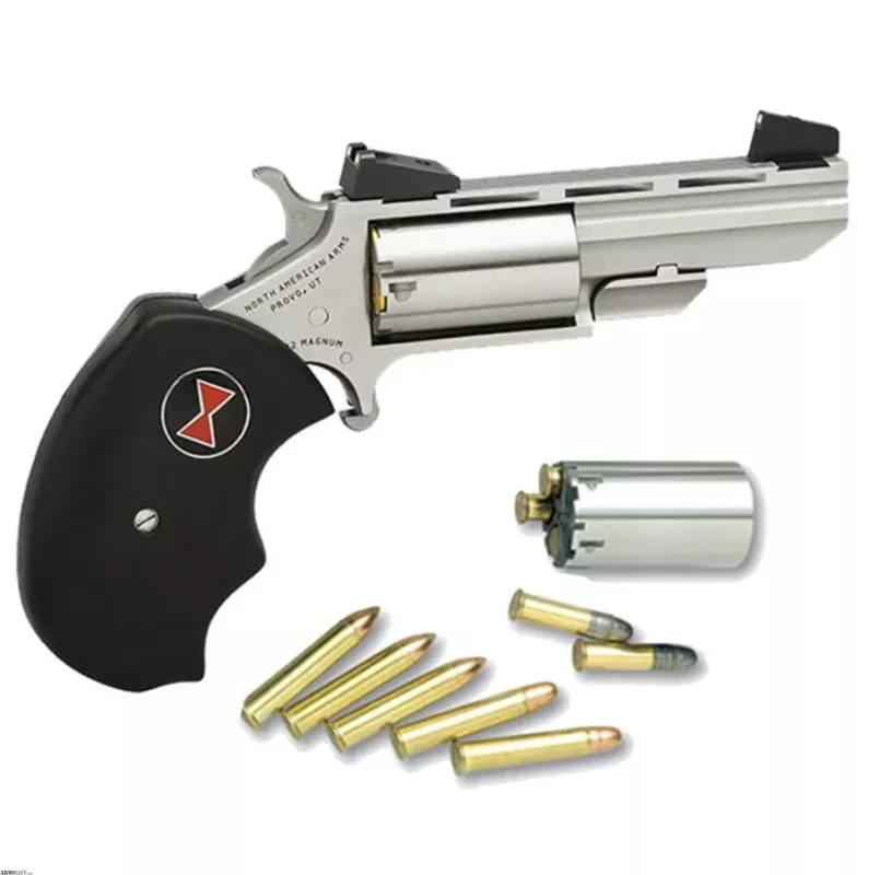 North American Arms Black Widow .22 Mag / .22 LR 5 Inch Stainless NAA-BWCA from ELK CO AMMO&ARMS INC near Saint Marys, Pennsylvania, USA