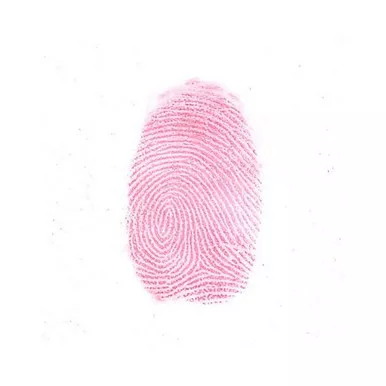 Sirchie Brilliant Red Regular “Hi-Fi” Volcano Latent Fingerprint Powder
