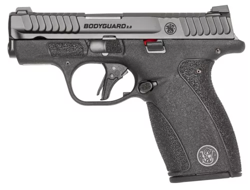 Smith & Wesson Bodyguard 2.0 Micro Compact NTS .380 ACP Pistol 2.75" Barrel - 12 Rd