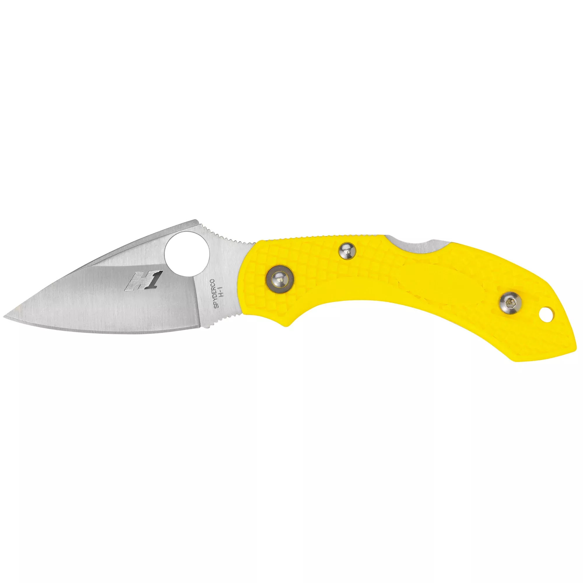 Spyderco Dragonfly 2 Salt H2 Folding Knife – 2.28" Corrosion-Proof Blade
