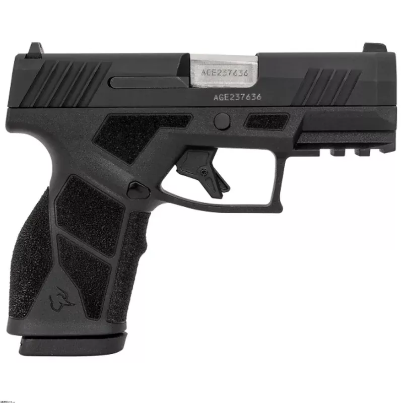 Taurus GX2 Compact 9mm Luger 3.38 Inch 13 Rounds Black 1-GX2931 from ELK CO AMMO&ARMS INC near Saint Marys, Pennsylvania, USA